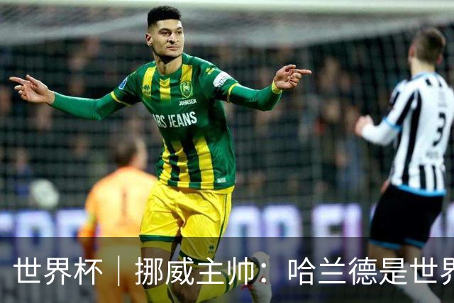 世界杯｜挪威主帅：哈兰德是世界上最好的射手